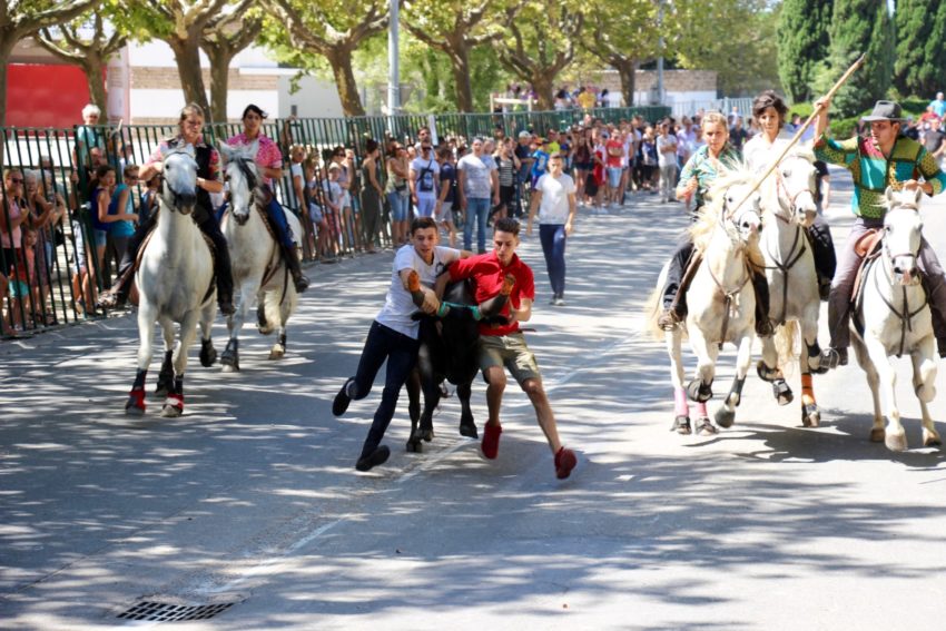 Fete Votive Farandole